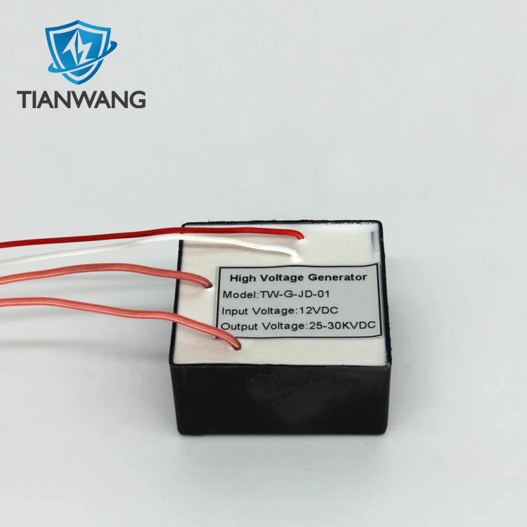 Small Electrostatic High Voltage Generator